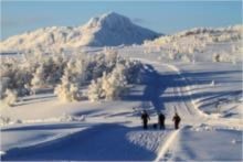Miljøsamling Førde IL langrenn Beitostølen 27.-29.